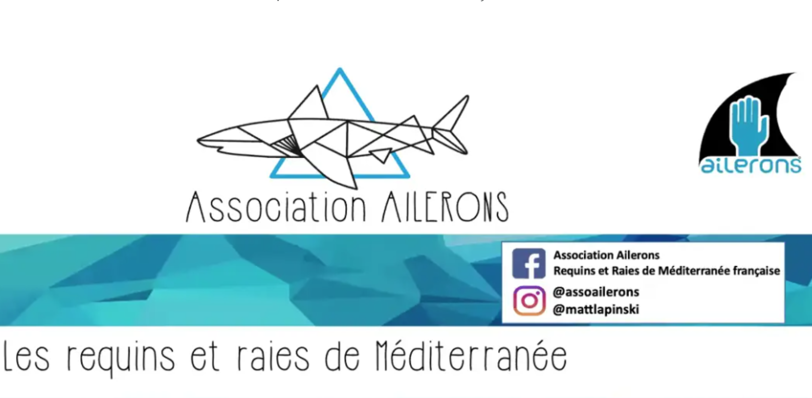 Logo association Ailerons